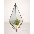Kwadratowa szklana sadzarka do terrarium w stylu terrarium